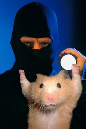 2010_3_hamsterthief.jpg