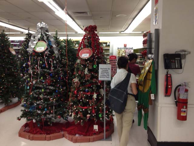 Trees available on layaway