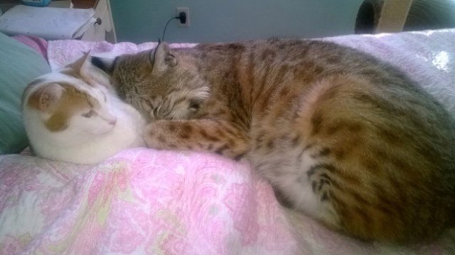 He loves snuggles!
