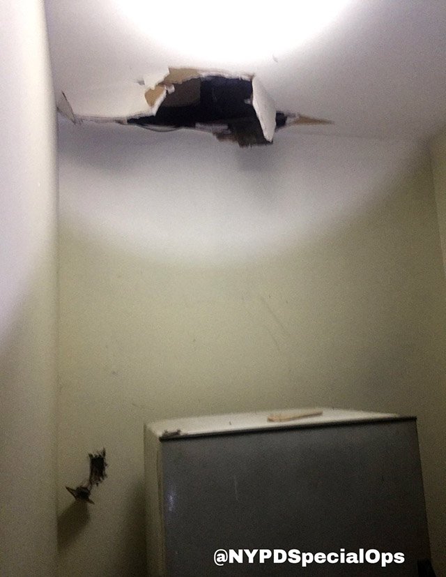 2017_08_tim3.jpg The ceiling Timoshenko crashed through