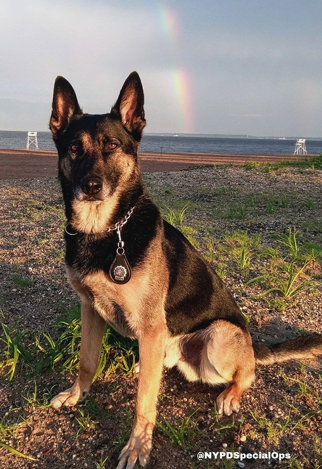 2017_08_timo5.jpg During a rainbow day