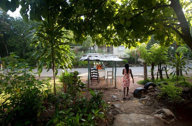 2018_07_b5.jpg Loma de Cabrera, Dajabón â Nov. 9, 2014: Elena Julienne walks from her house to her stand to sell artisan products, including milk fudge, toasted cashew nuts, and coconut sweets. Originally from Haiti, Julienne is married to a Dominican man and has been selling sweets by this road for 14 years.