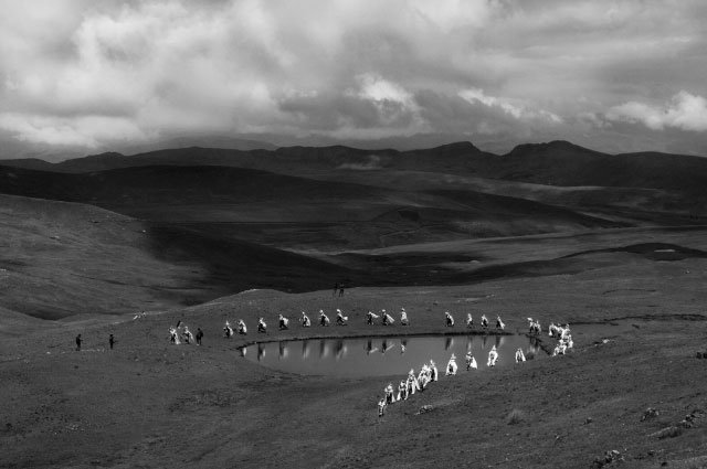 2018_07_b6.jpg Tinkuy is a traditional dance of the Andes. Men dressed like huallatas or andean geese native to the area, danced and ran around the territory of Chahuaytire before to begin the theatrical courtship with the single women of the community. Highlands of Pisac, Perú. 2016.