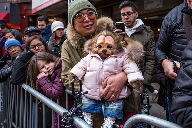 Were-pup spotted at the Lunar New Year Parade