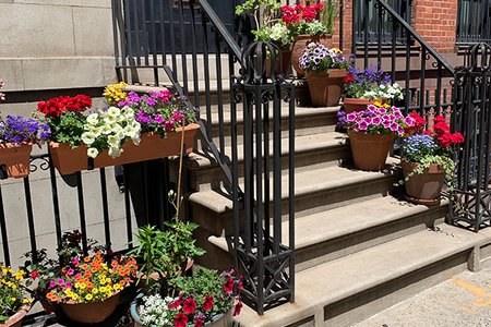A pretty good stoop