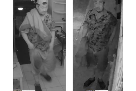 The burglary suspect