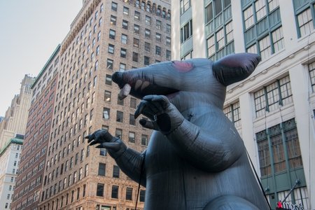 Scabby the Rat
