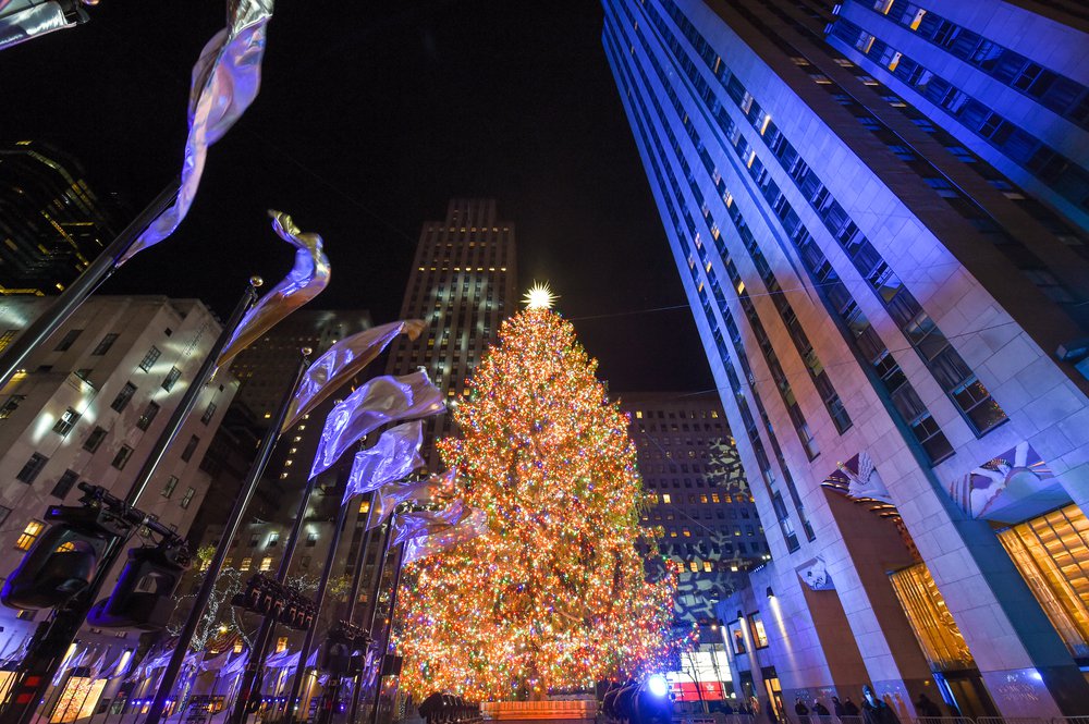 The Rockefeller Center tree is lit in multi-colored lights, within Rockefeller Center buildings
