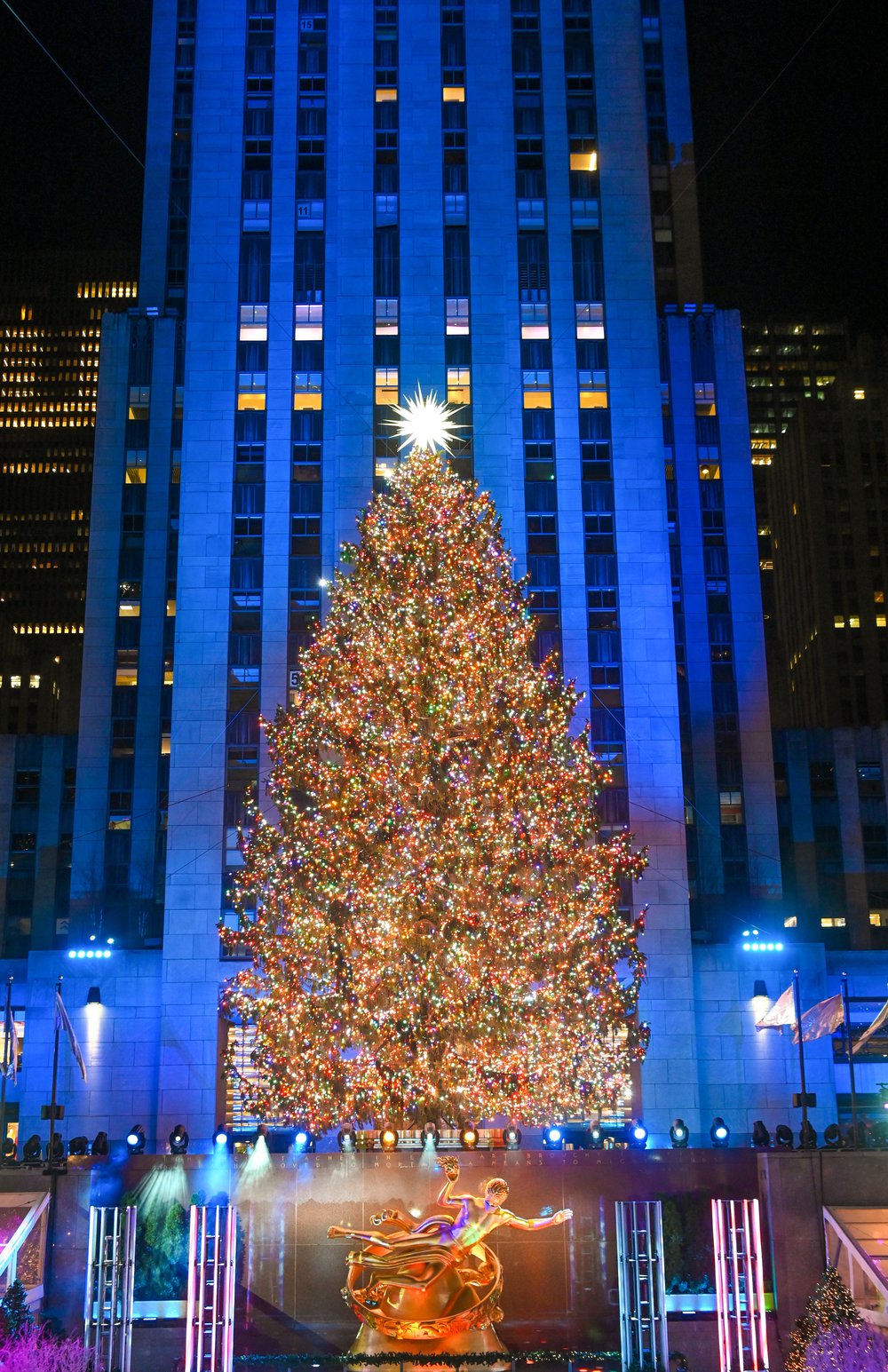 The Rockefeller Center tree is lit in multi-colored lights, within Rockefeller Center buildings
