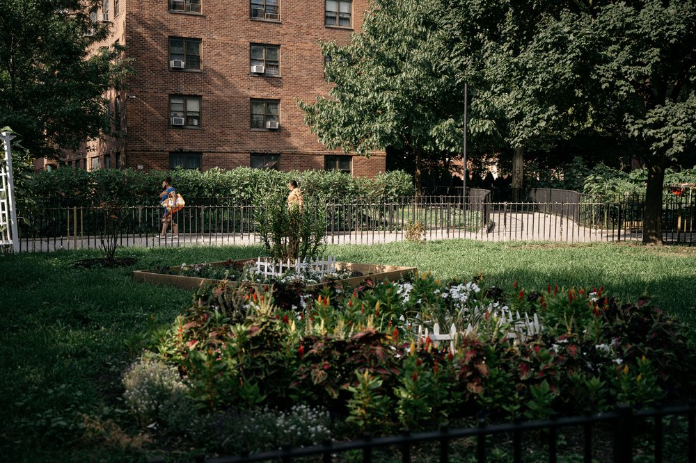 Residents of the Washington Houses spend hours each week tending their gardens, according to residents’ association president Claudia Perez.