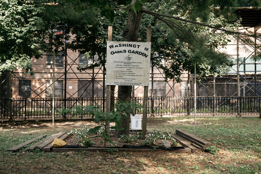 Claudia Perez said her neighbors are also planning to plant fruit trees at the Washington Houses.