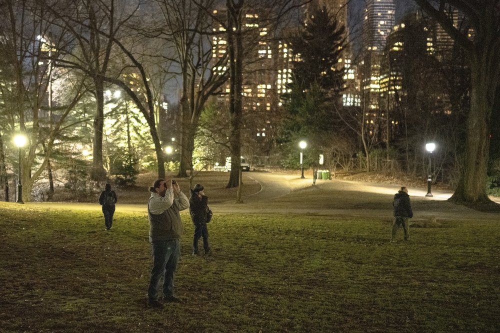 Central Park Zoo employees stand in a field, looking through a binoculars.
