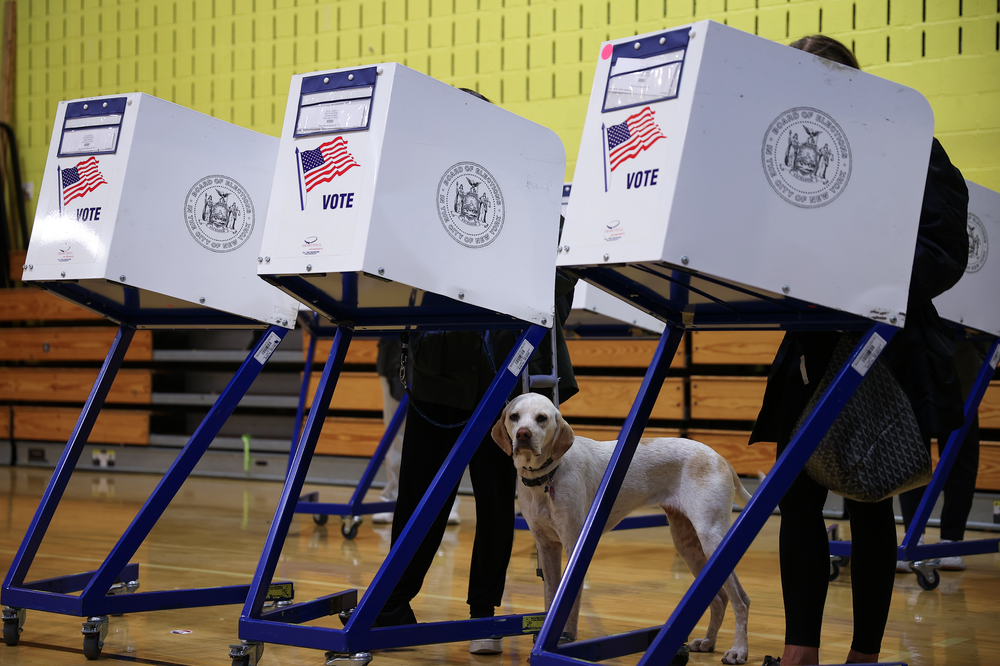 New Yorkers cast their votes for a general election and a mayoral election, Nov. 2, 2021. A leashed dog stands beneath a voting booth, looking at the camera.