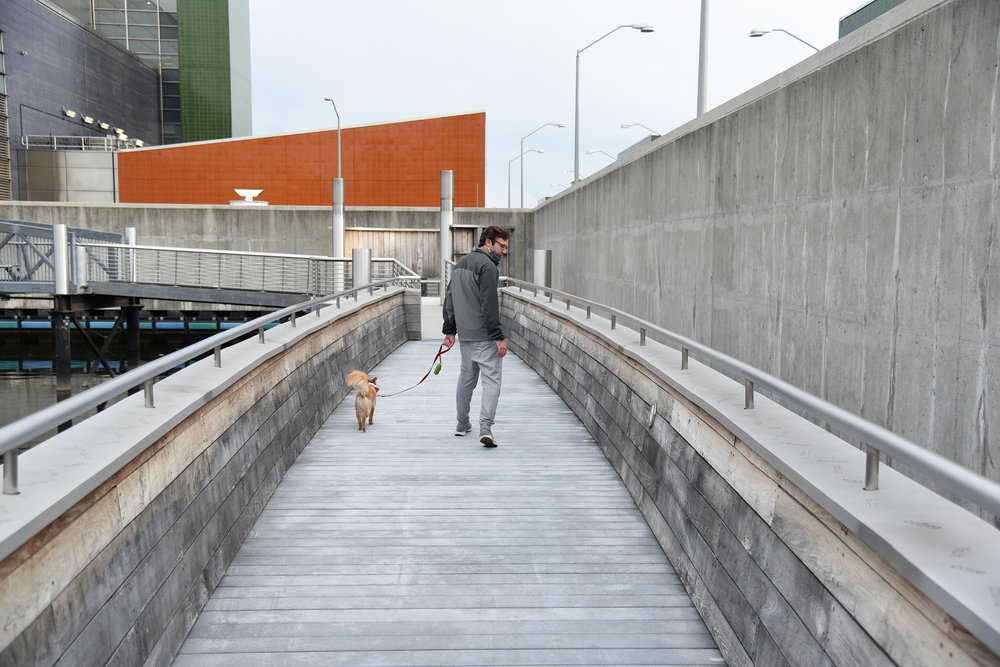 20_Kensinger_Newtown_Creek_Nature_Walk_DSC_2233.jpg The gunwales of the vessels contain a word puzzle that references the history of Newtown Creek, the periodic table and The Big Bang. May 7th, 2021