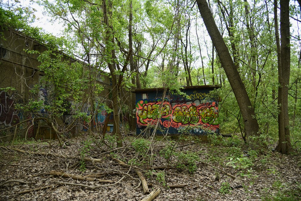 Abandoned warehouses are obscured by trees, vines and poison ivy at the 10-acre inland portion of the Rossville Municipal Site. This site was purchased by the city in 1990, as part of a never-realized plan to build a correctional facility.