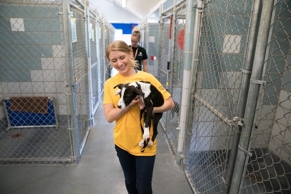 21410fb89hsus_photo_387481-jpg.jpeg