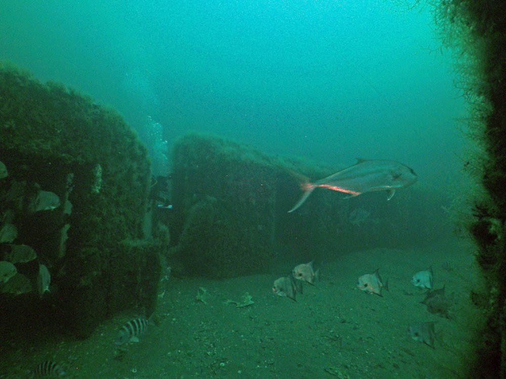 Redbird Reef, Photo by Robert Martore, Courtesy of South Carolina Department of Natural Resources<br/>