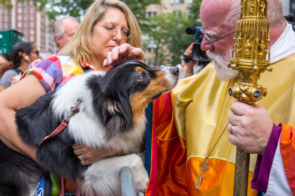 227615b1cblessing-133-jpg.jpeg