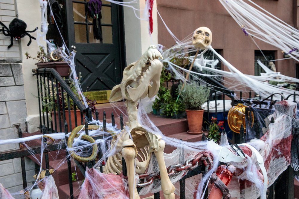 23c461939carrollgardenscobblehillhalloweendecorations-75-jpg.jpeg