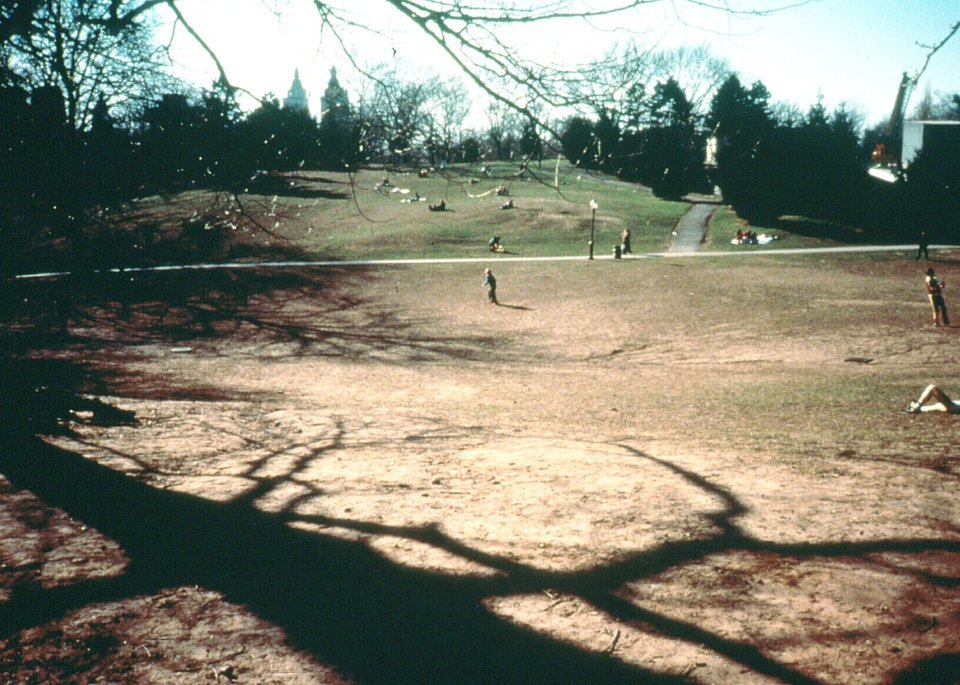 Cedar Hill, 1980s. (Courtesy of the Central Park Conservancy)