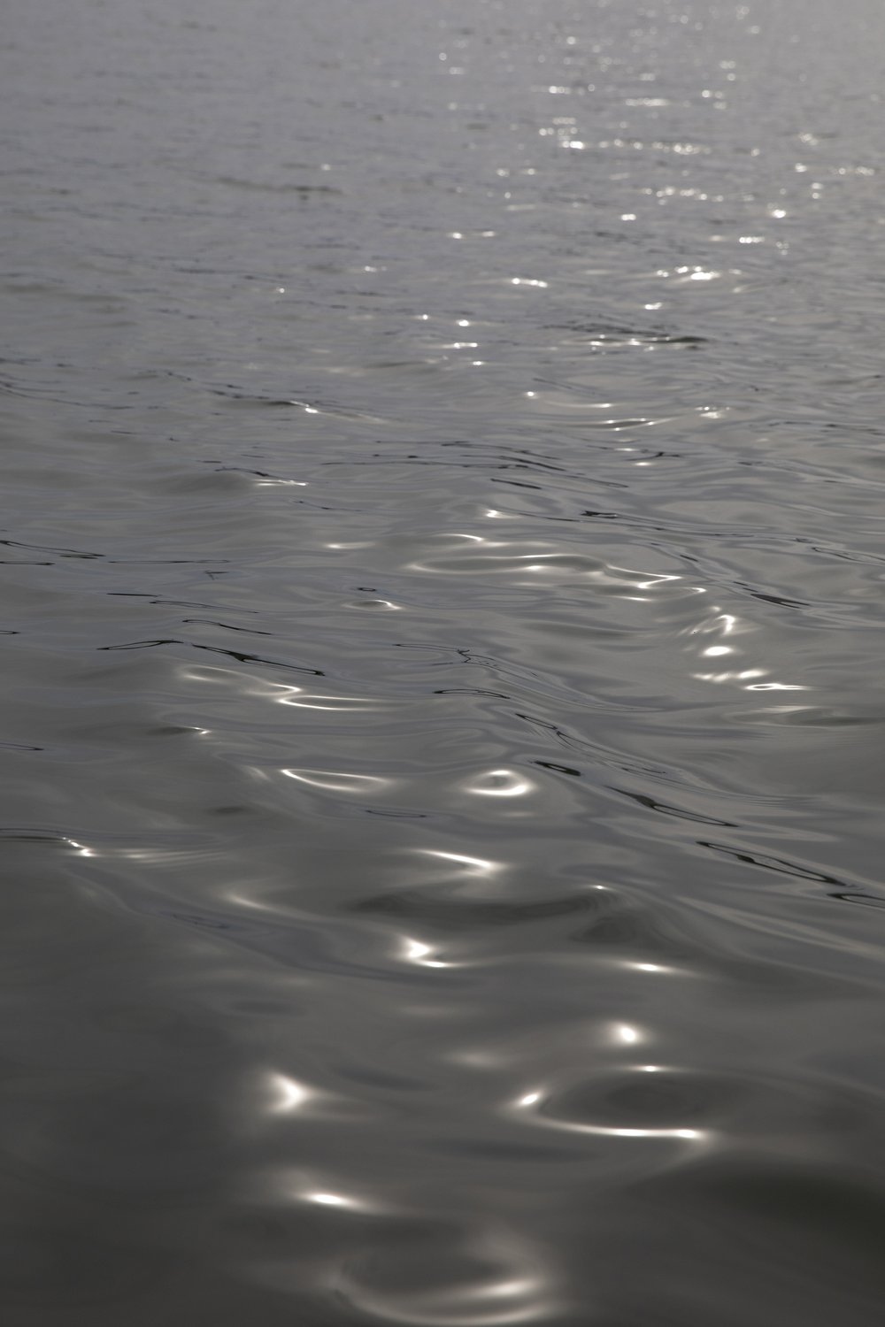 Water rippling beneath sunlight.