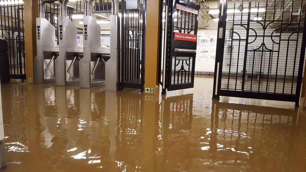 296e8f866subway3a-jpg.jpeg