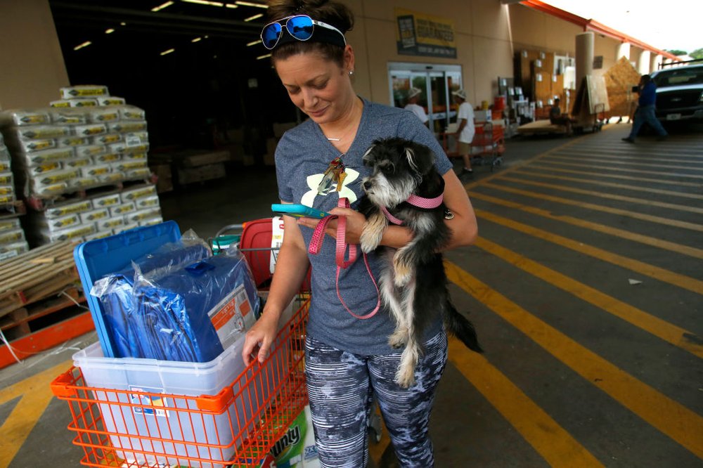 2b295926bgettyimages-842957888-jpg.jpeg Michelle Smith checks her smart phone for news while clutching her dog Sophia as she leaves a Home Depot store with storm preparation supplies as residents in the area prepare ahead of Hurricane Irma on September 05, 2017 in Tampa, Florida. (Getty Images)