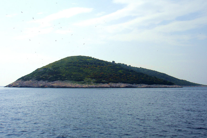 2e18bff76.jpeg Modi Island. Cost: $1,500,000. Size: 51 Acres. Pros: "There is no industry or pollution in the area... just a perfect environment!" Cons: There are no cons, this costs LESS than an average Manhattan apartment, go buy it immediately fools!