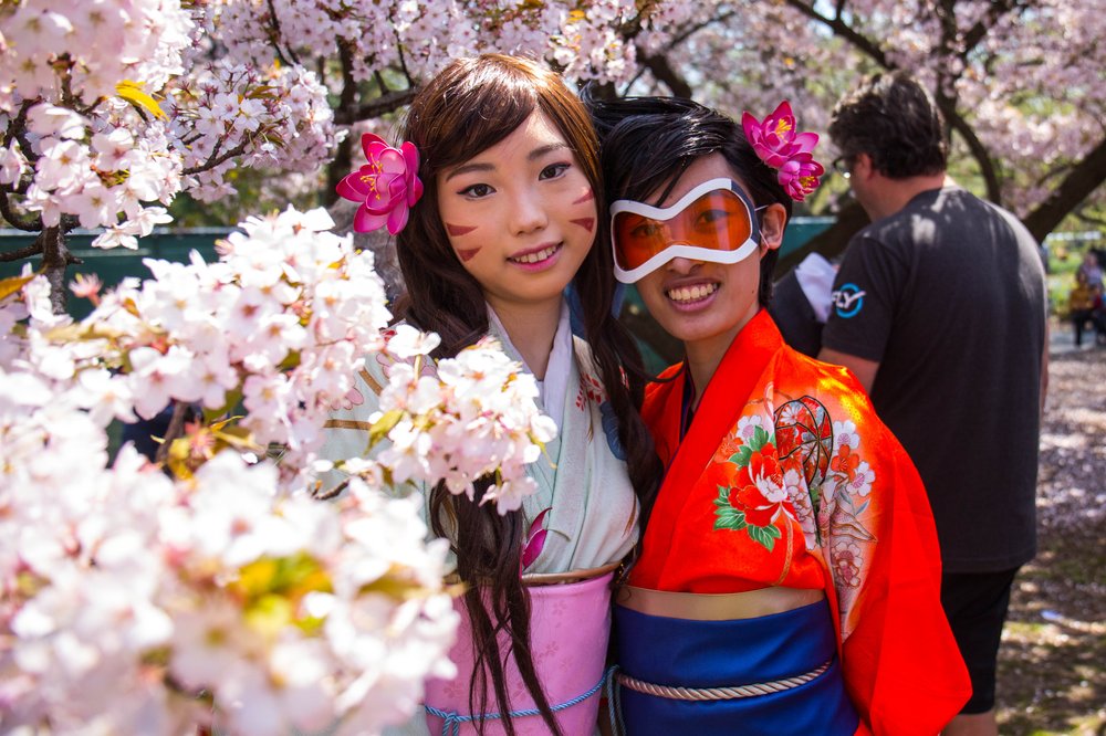 2eb7224aesakura-13-jpg.jpeg