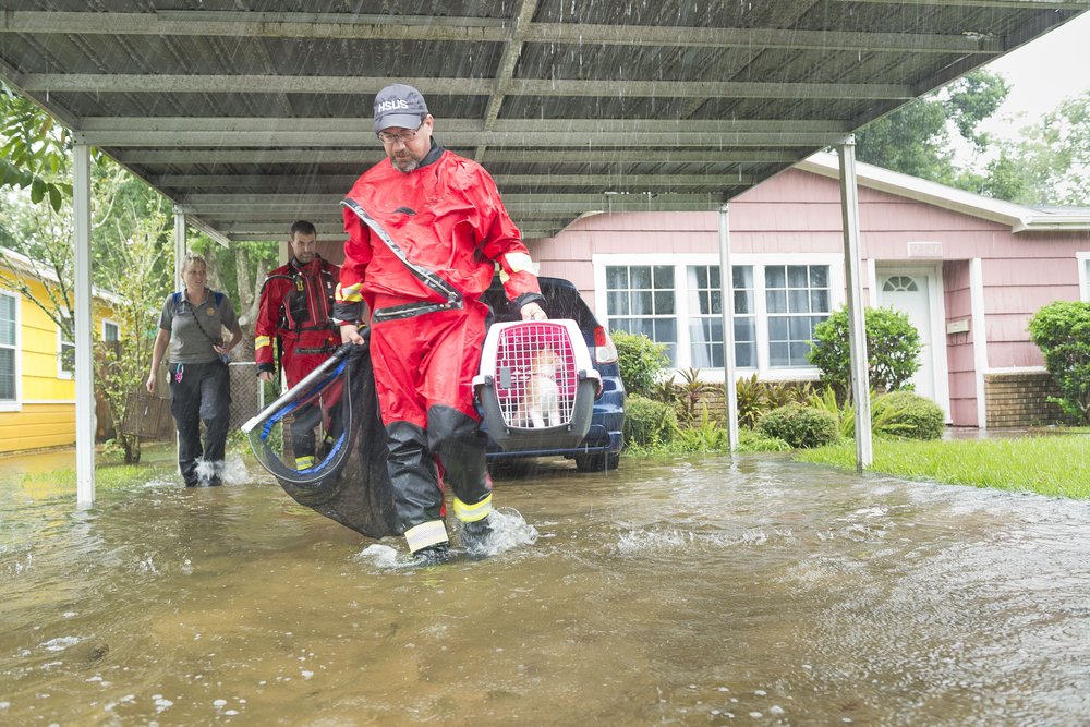 2ee37404bhsus_photo_387761-jpg.jpeg An HSUS rescue team with animals (AP Images for HSUS)
