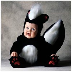 31711skunk.jpg