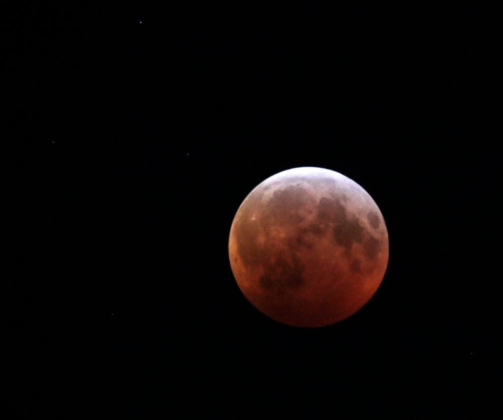 31f579441shutterstock_10069483a-jpg.jpeg The Super Blood Wolf Moon is seen over Manhattan, USA, New York, New York, 20 January 2019. (JASON SZENES/EPA-EFE/Shutterstock)