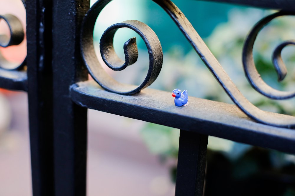 A tiny duck figurine sitting on a New York City fence.
