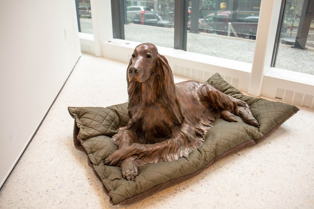 36f66d3dfdog-59-jpg.jpeg
