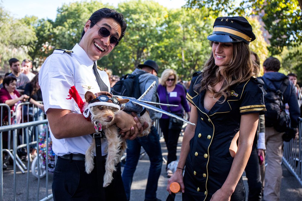 37a27f8d0doghalloween-82-jpg.jpeg