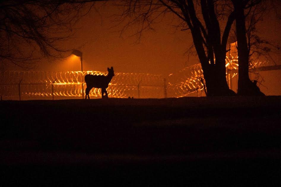 Wallkill Correctional Facility, Wallkill NY.<br/>