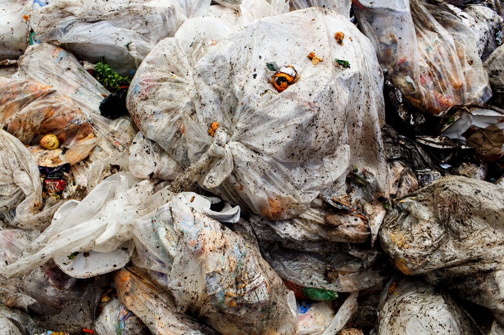 3c32e6a3e032517compostdsny-10-jpg.jpeg Bags of compostables waiting to be separated into piles of reusable and waste products.</br>