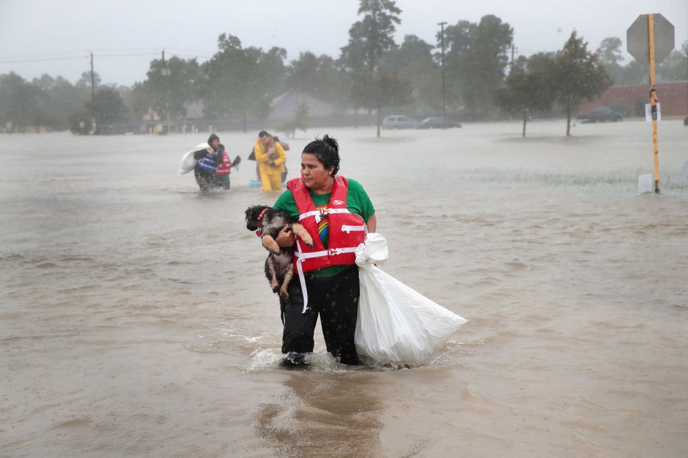 3c579ad6cgettyimages-840308410-jpg.jpeg People make their way out of a flooded neighborhood after it was inundated with rain water, remnants of Hurricane Harvey, on August 28, 2017 in Houston, Texas<br>(Getty Images)