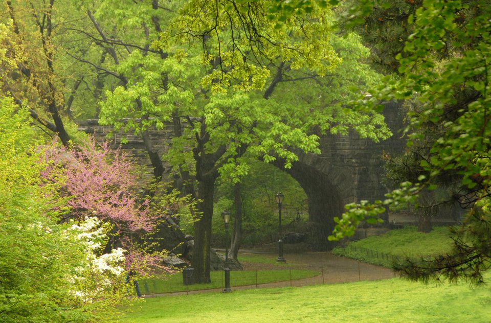 Naturalists Walk, present day. (Courtesy of the Central Park Conservancy)