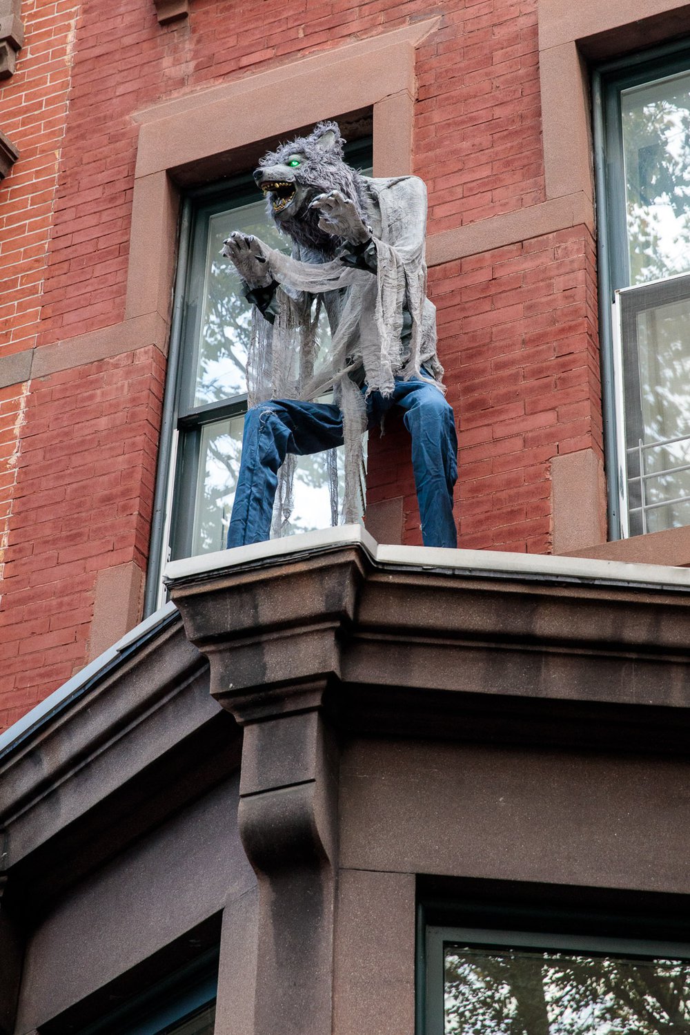 3f7696343carrollgardenscobblehillhalloweendecorations-58-jpg.jpeg