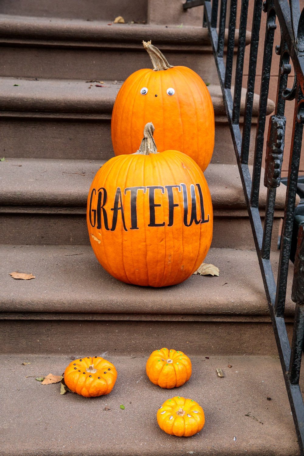 42c371afecarrollgardenscobblehillhalloweendecorations-50-jpg.jpeg