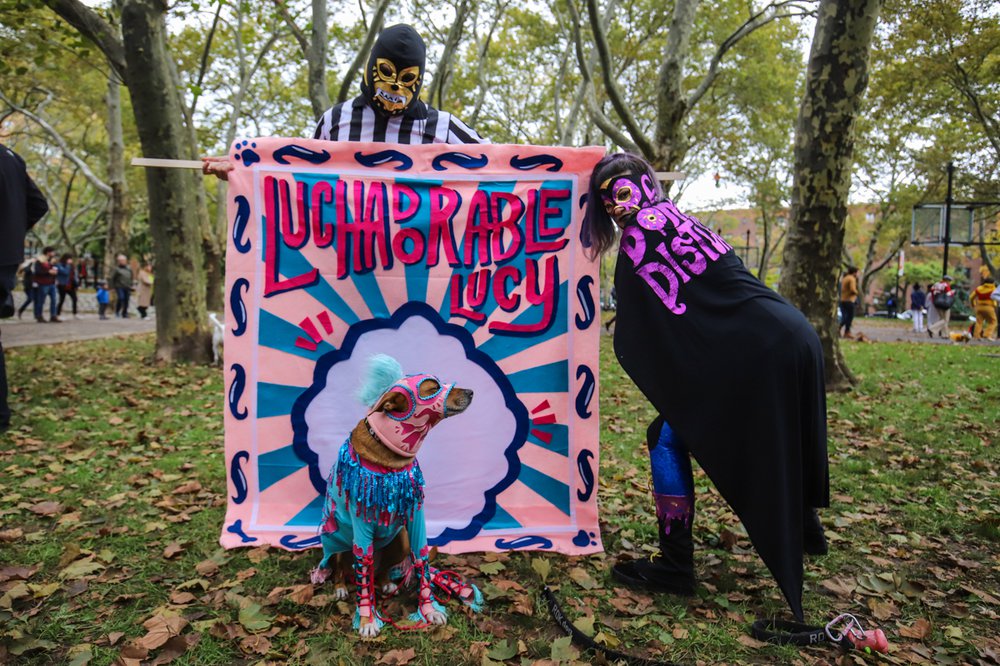 42edc1a76luchadorablehonorablemention-jpg.jpeg