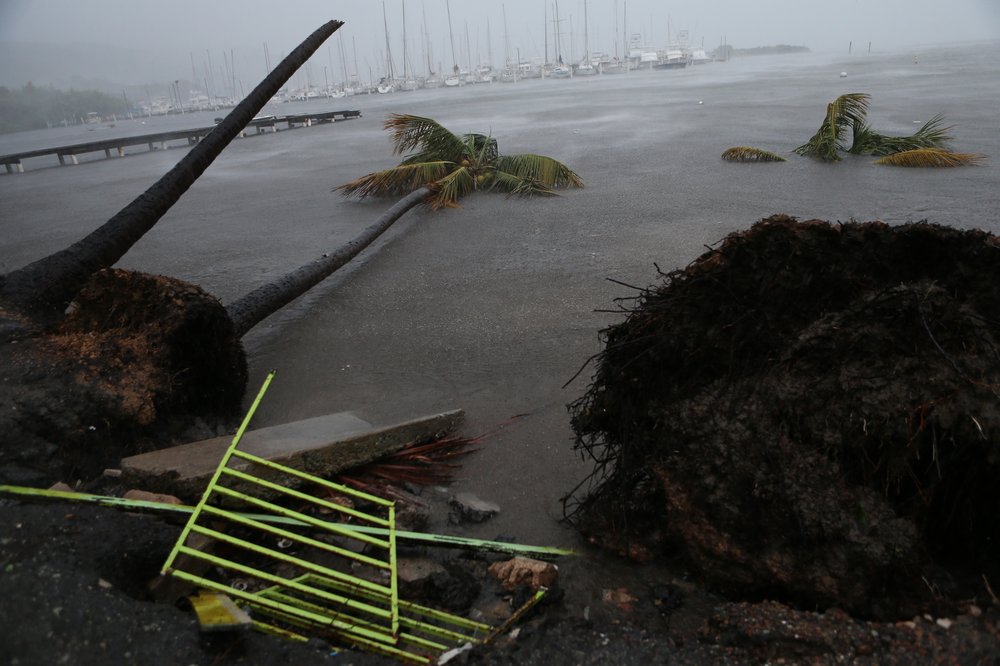 43b4c6a16090717_irma2-jpg.jpeg Debris is seen during a storm surge near the Puerto Chico Harbor during the passing of Hurricane Irma on September 6, 2017 in Fajardo, Puerto Rico. (Photo by Jose Jimenez/Getty Images)(Getty Images)