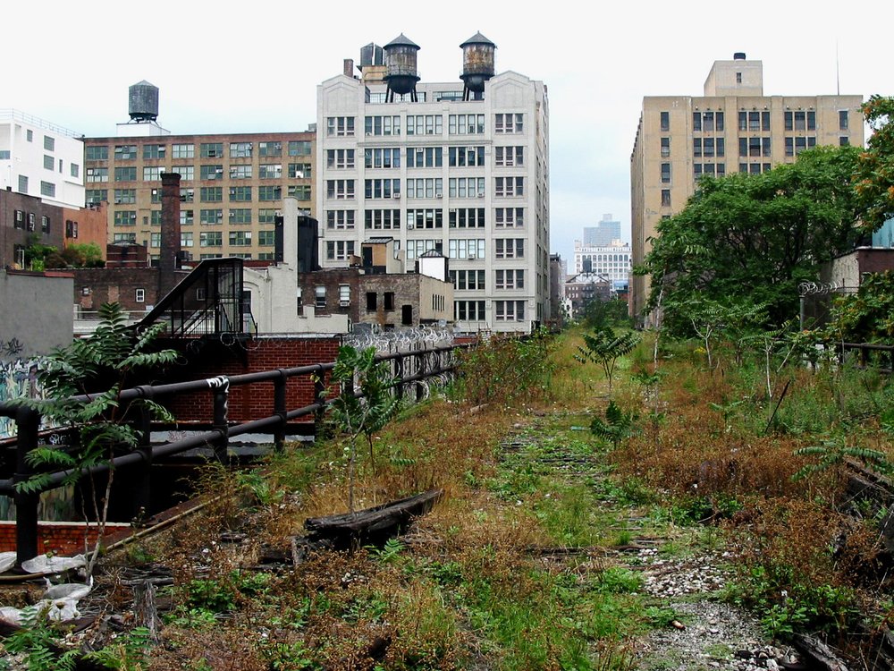 43b6944af2002f-jpg.jpeg Spring 2002: further south on the High Line, there were overgrown areas that looked almost like meadows, some with wildflowers. (Jake Dobkin)
