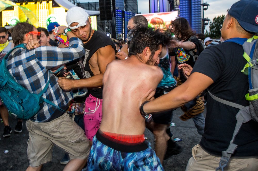 44628c785ezoo-162-jpg.jpeg