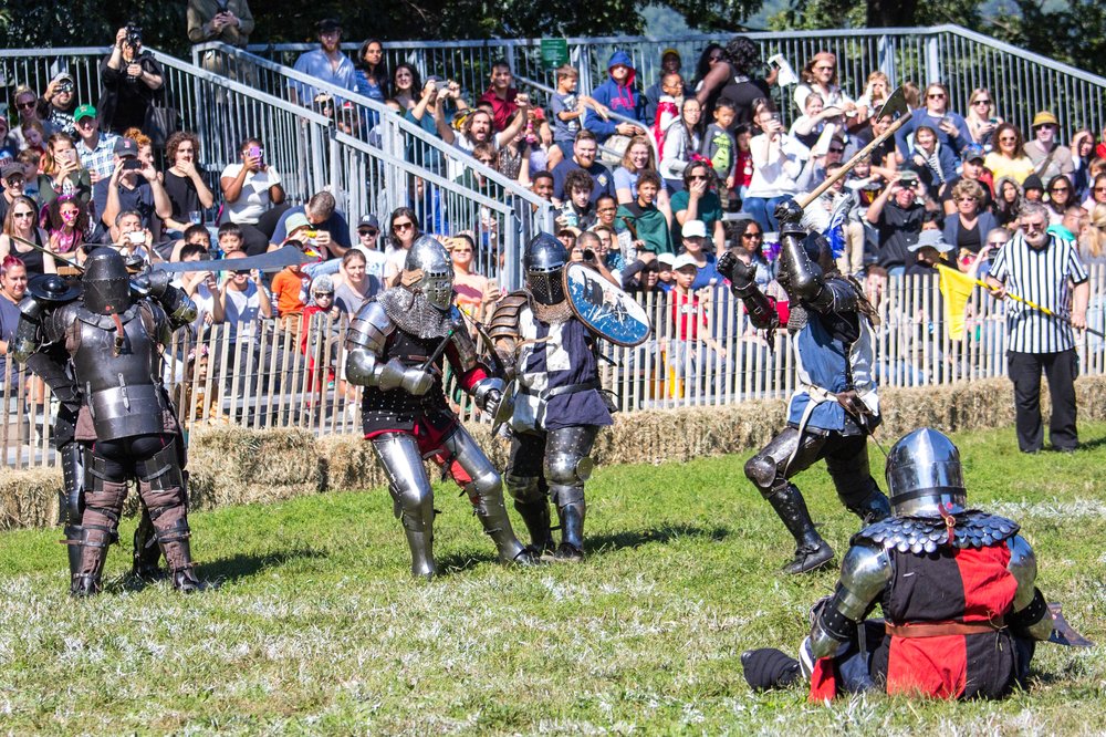 45d0a8008medieval-38-jpg.jpeg