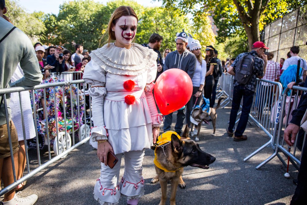 45d771996doghalloween-81-jpg.jpeg