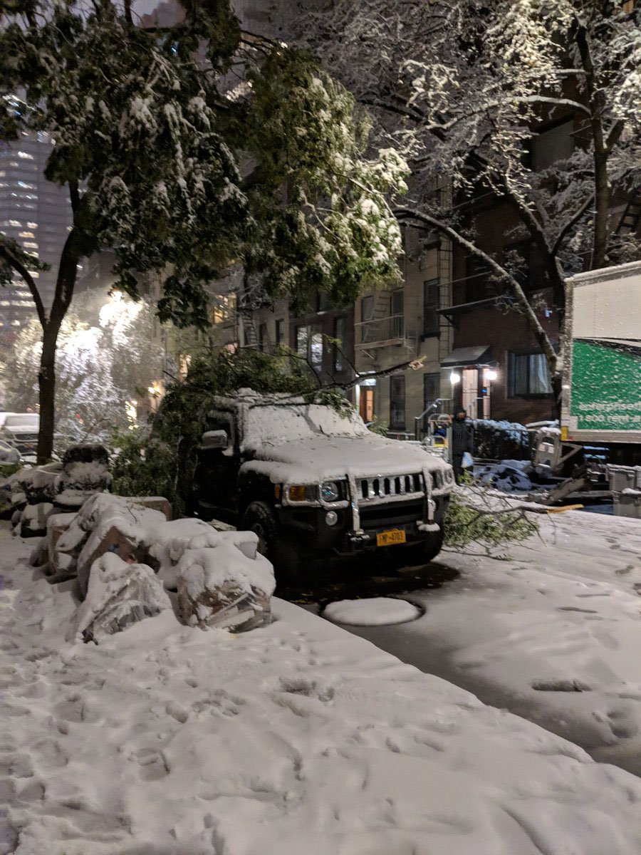 471d8d038treedown1-jpg.jpeg (<a href="https://twitter.com/tealeh11/status/1063213142363303936">Teale Harold / Twitter</a>)