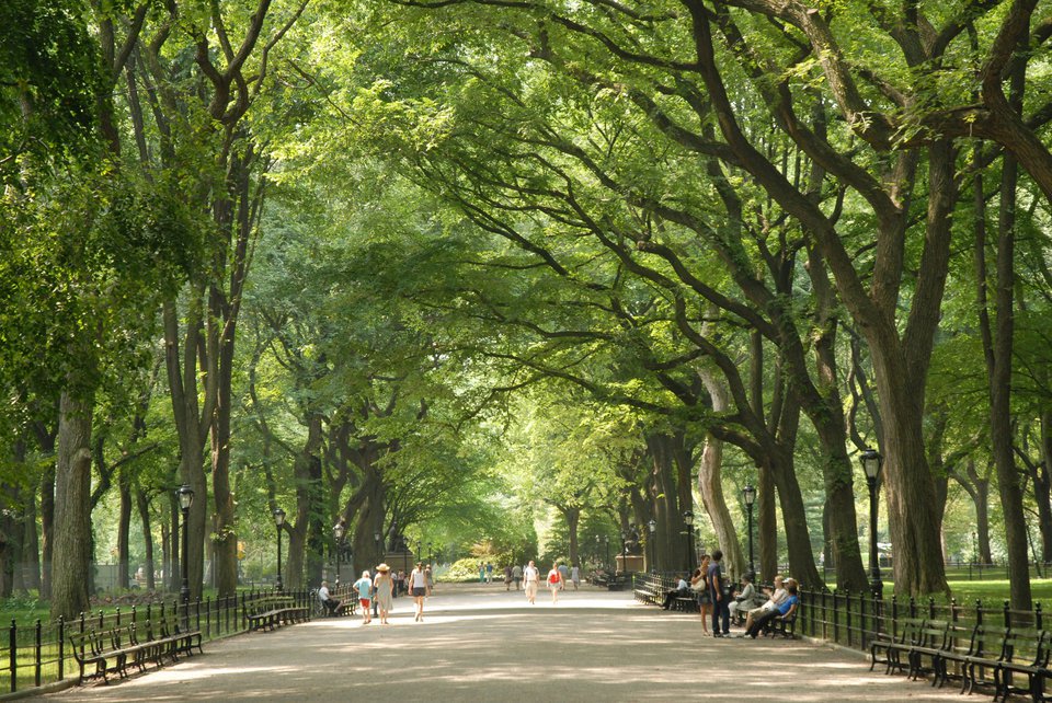 The Mall, present day. (Courtesy of the Central Park Conservancy)