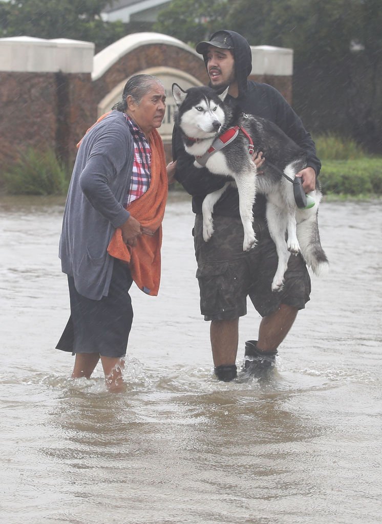 47be1a23egettyimages-840305986-jpg.jpeg People evacuate their homes after the area was inundated with flooding from Hurricane Harvey on August 28, 2017 in Houston, Texas<br>(Getty Images)